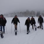 Bodenmais, Silberberg, Arber, Schneeschuhwandern, Schneeschuhverleih, Schneeschuhtour, Skischule, Chamer Hütte, Gutsalm Harlachberg, Kuh Alm, Bergknappenhof, Bodenmaiser Hof, Osser, Falkenstein, Hennenkobl, Bretterschachten, Winter, Aktiv