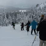 Bodenmais, Silberberg, Arber, Schneeschuhwandern, Schneeschuhverleih, Schneeschuhtour, Skischule, Chamer Hütte, Gutsalm Harlachberg, Kuh Alm, Bergknappenhof, Bodenmaiser Hof, Osser, Falkenstein, Hennenkobl, Bretterschachten, Winter, Aktiv