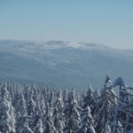 Bodenmais, Silberberg, Arber, Schneeschuhwandern, Schneeschuhverleih, Schneeschuhtour, Skischule, Chamer Hütte, Gutsalm Harlachberg, Kuh Alm, Bergknappenhof, Bodenmaiser Hof, Osser, Falkenstein, Hennenkobl, Bretterschachten, Winter, Aktiv
