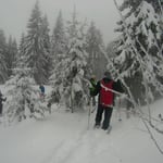 Bodenmais, Silberberg, Arber, Schneeschuhwandern, Schneeschuhverleih, Schneeschuhtour, Skischule, Chamer Hütte, Gutsalm Harlachberg, Kuh Alm, Bergknappenhof, Bodenmaiser Hof, Osser, Falkenstein, Hennenkobl, Bretterschachten, Winter, Aktiv