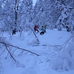Bodenmais, Silberberg, Arber, Schneeschuhwandern, Schneeschuhverleih, Schneeschuhtour, Skischule, Chamer Hütte, Gutsalm Harlachberg, Kuh Alm, Bergknappenhof, Bodenmaiser Hof, Osser, Falkenstein, Hennenkobl, Bretterschachten, Winter, Aktiv