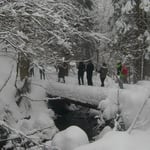 Bodenmais, Silberberg, Arber, Schneeschuhwandern, Schneeschuhverleih, Schneeschuhtour, Skischule, Chamer Hütte, Gutsalm Harlachberg, Kuh Alm, Bergknappenhof, Bodenmaiser Hof, Osser, Falkenstein, Hennenkobl, Bretterschachten, Winter, Aktiv