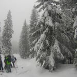 Bodenmais, Silberberg, Arber, Schneeschuhwandern, Schneeschuhverleih, Schneeschuhtour, Skischule, Chamer Hütte, Gutsalm Harlachberg, Kuh Alm, Bergknappenhof, Bodenmaiser Hof, Osser, Falkenstein, Hennenkobl, Bretterschachten, Winter, Aktiv
