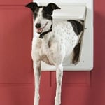 SmartDoor Electronic