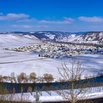 Moselwinter an der Moselschleife bei Trittenheim