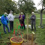 Steffen Kahl gibt Informationen über die Sorte Anhalter.