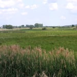 Panoramablick von der südlichen Aussichtsplattform auf das Ried. Am Horizont links Echzell-Gettenau, rechts Bingenheim.