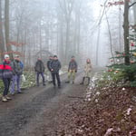 Weihnachtswald