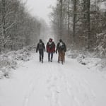 Verschneite Gestalten gehen voraus