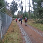 Früher sah es so auch im Ober-Mörler Wald aus