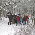 Erster Versuch eines Gruppenbilds im Wald bei heftigem Schneefall