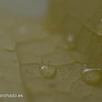 fotografo escritor, fotografias para escritores, fotografo libros, fotografo madrid, fotografo sentimientos, fotografo libros, libros bellos