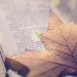 fotografo escritor, fotografias para escritores, fotografo libros, fotografo madrid, fotografo sentimientos, fotografo libros, libros bellos