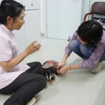 肉球マッサージをしているところ