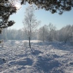 NSG Rütterberg im Januar 2009