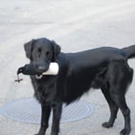 ja, mittlerweile mag ich die Dinger auch richtig halten