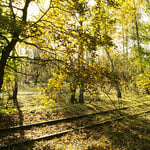 Berlin: in Fahrt sein. Schienen Pankow-Heinersdorf; März 2001