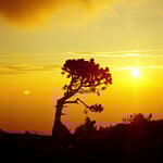 Sunrise: Auf dem Gipfel des Mont Aigoual (Cévennes, F), 6.30 h
