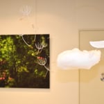 ©️吉川宏幸　©️jobin.