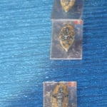 Il bombardamento di Ancona 1915