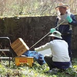 山田緑地　2019分蜂3