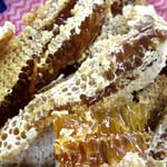 山田緑地　2018採蜜3