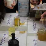 ニホンミツバチの不思議な世界-7