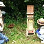 箱型巣箱の継ぎ箱2