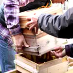 ニホンミツバチの不思議な世界-9