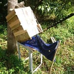 山田緑地　2017分蜂4