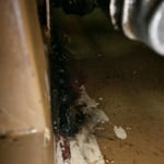 Fahrerseite, Holminnenseite unter dem Getriebe, in Fahrtrichtung