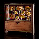 Gusti Markefka - Wachsender Bernstein