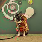 顔出し看板のモデルになったラックくん