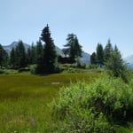 Hochmoor mit Balfrin im Hintergrund