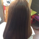 セミディーボブ