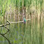 Foto: © Hans-Ueli Thöni