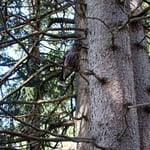 Foto: © Petra Homolka