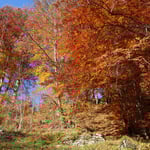 Foto: © Hans-Ueli Thöni