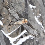 Foto: © Lukas Arn, Gemmipass 14.3.2018