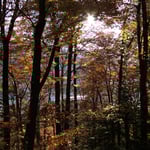 Foto: © Hans-Ueli Thöni