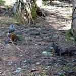 Foto: © Petra Homolka