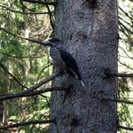 Foto: © Petra Homolka