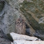 Foto: © Hans-Ueli Thöni