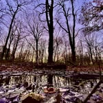 Sonnenuntergang Kerkener Wald