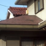 カラーベストカビ