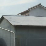 トタン屋根