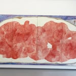 "Brotberuf Malerei" Ausstellungsansicht, Galerie Eboran Salzburg, Abb: "Brotberuf Malerei, Erdbeermarmelade" 200 x 400 cm