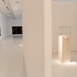 Alexandra Wacker, Helena Becker, Sunhild Wollwage, Foto: Sven Beham