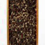 UNTITLED 10 | 2022 | wood, glass, pine cones | 45*85*45 cm