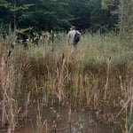 kleiner Teich - Ausgleichsmaßnahme zum Waldwegebau  ©Barbara Langer